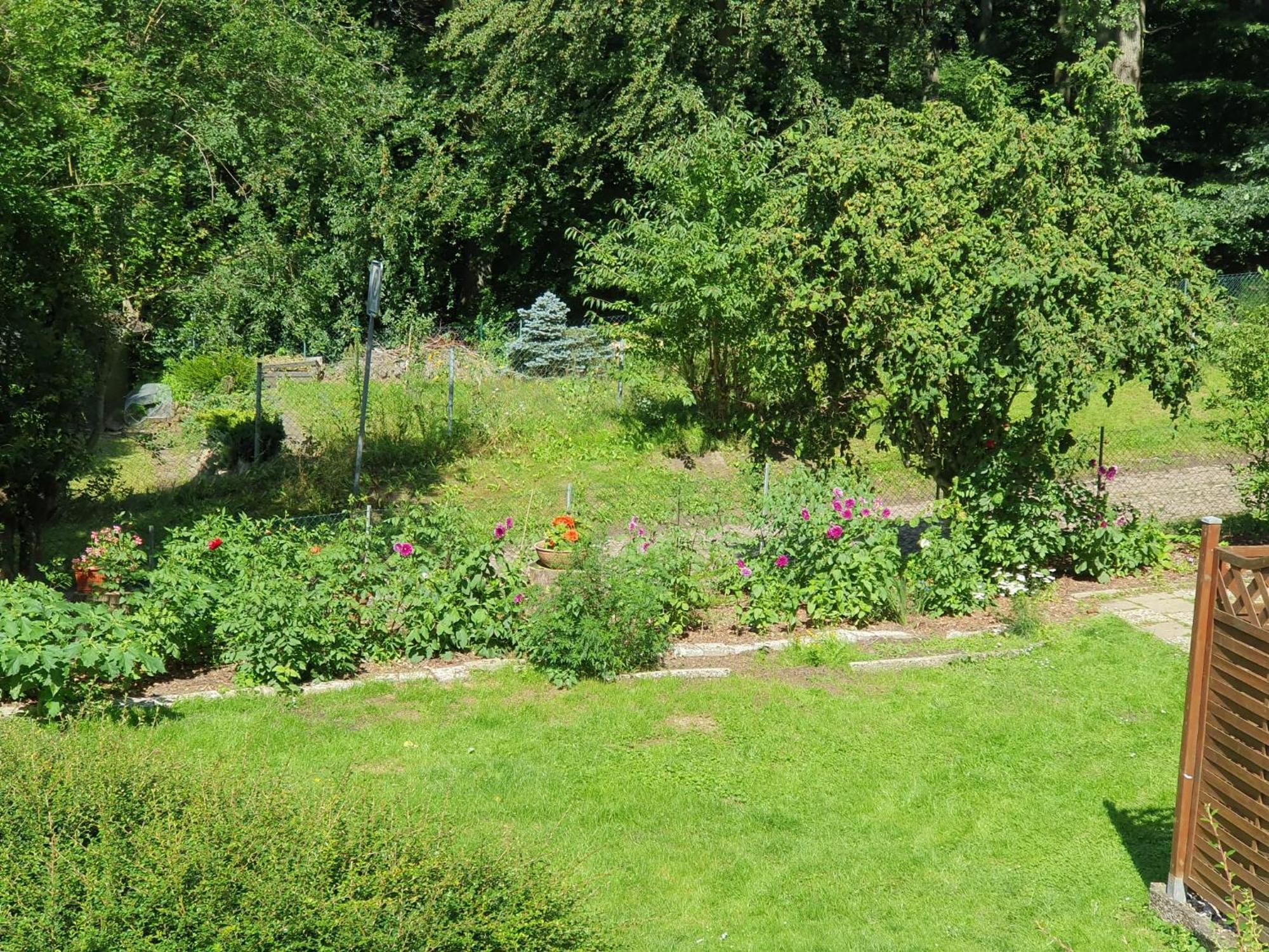 Ferienhaus In Geesthacht-Tesperhude Direkt Am Waldrand Luaran gambar