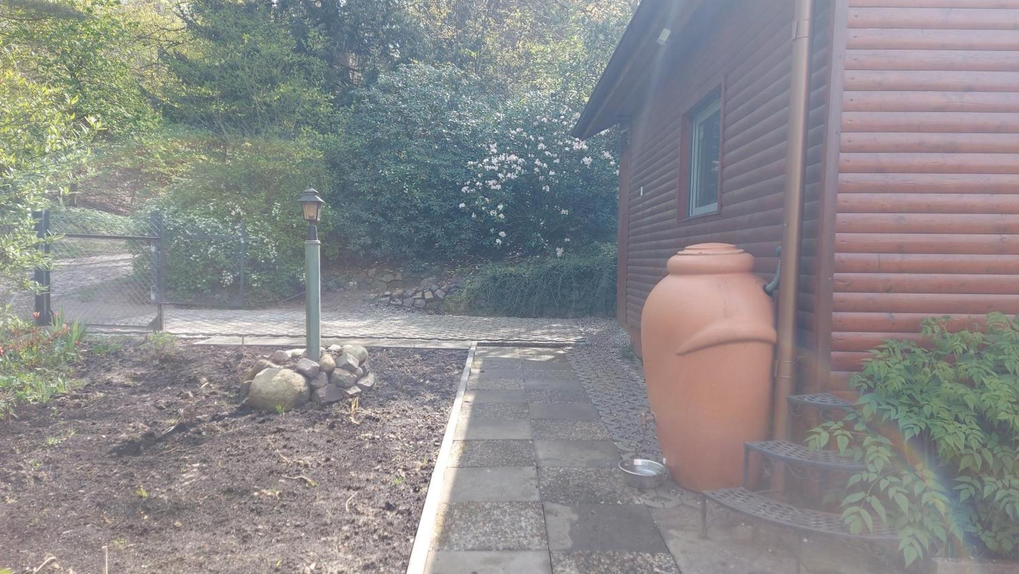 Ferienhaus In Geesthacht-Tesperhude Direkt Am Waldrand Luaran gambar