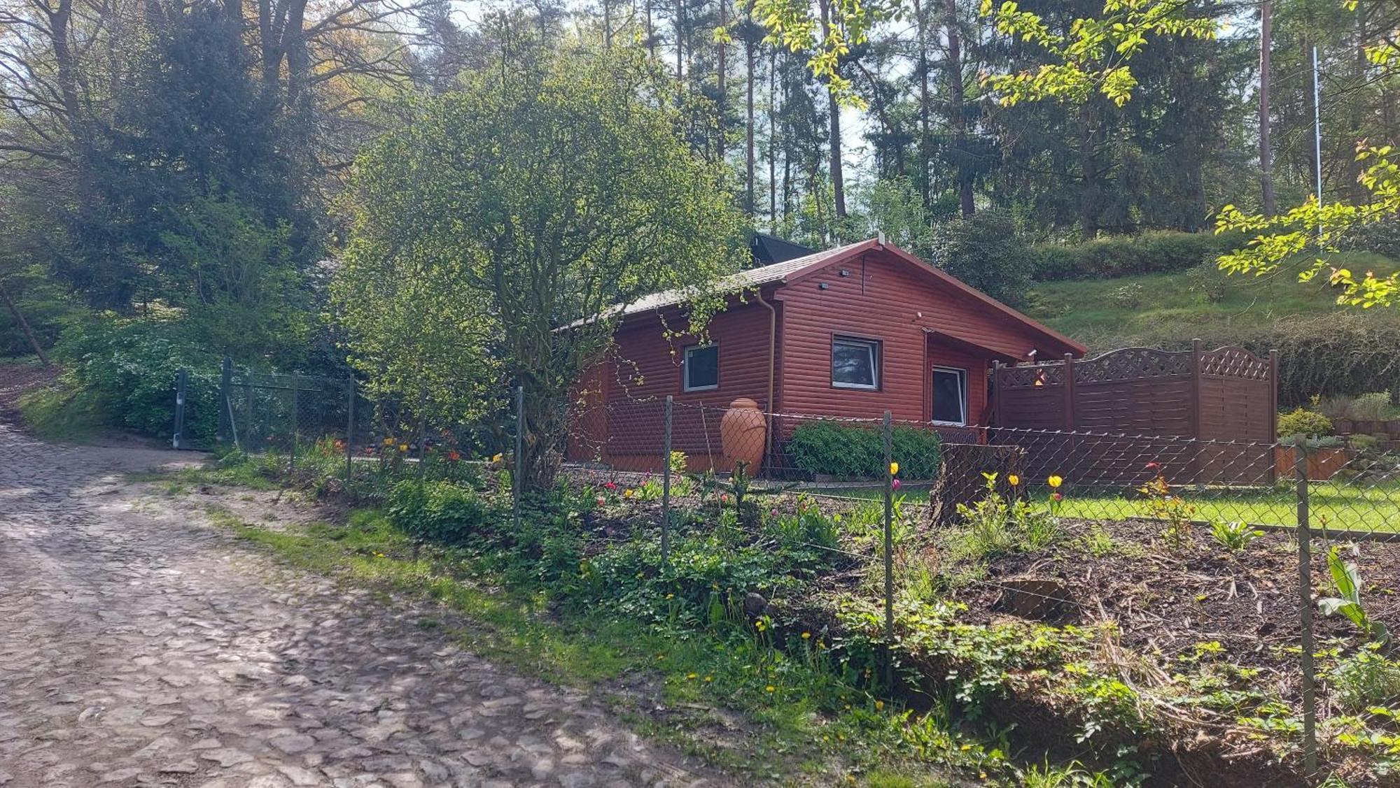 Ferienhaus In Geesthacht-Tesperhude Direkt Am Waldrand Luaran gambar